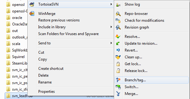 Svn Tortoise Branch Tag