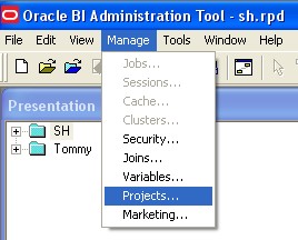 Obiee Repository Project Menu