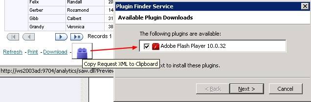 obiee_copy_request_xml_to_clipboard_flash.jpg