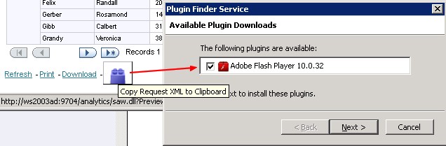 Obiee Copy Request Xml To Clipboard Flash
