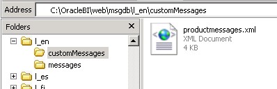 Obiee Custom Productmessages Xml