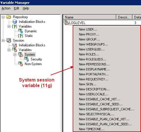 obiee11g_system_session_variable.jpg