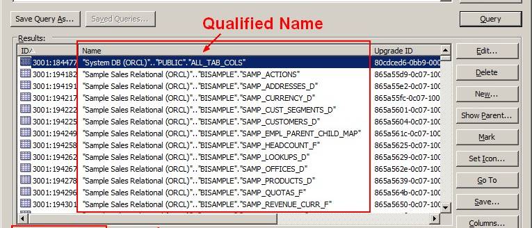 Obiee Repository Qualified Name
