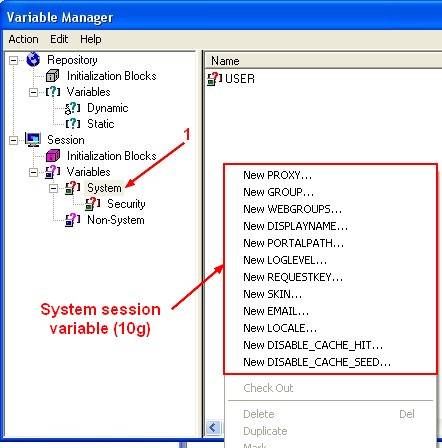 obiee_system_variable.jpg
