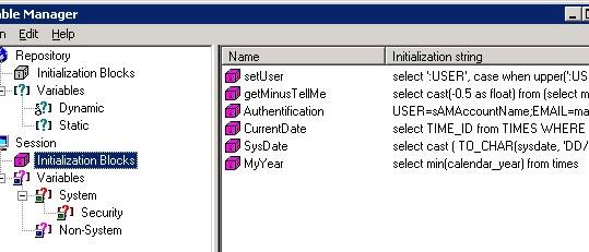 Obiee Variable Manager