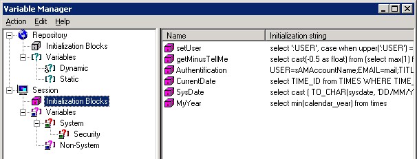 Obiee Variable Manager