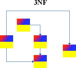 3nf Color