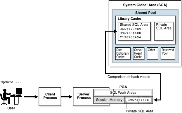 Oracle Database Shared Pool Check