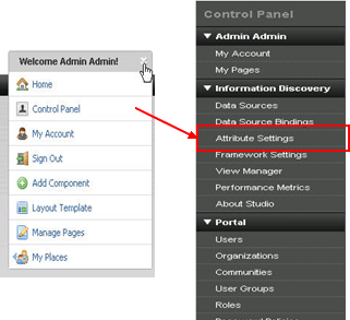 Endeca Studio Attribute Settings