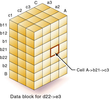 Essbase Data Block For D22 E3