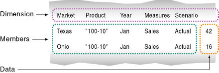 Essbase Data Source Kinds Of Fields