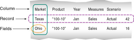 Essbase Data Source Record Fields