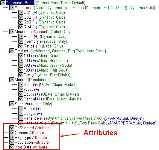 Sample.basic Database Outline Attribute