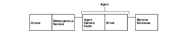 Heterogeneous Connectivity Process Architecture