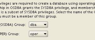 Oracle Database - SYSDBA privilege