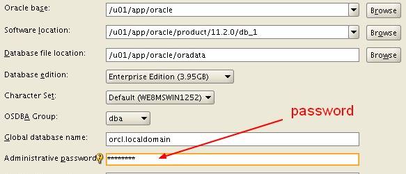 Oracle Database 11gr2 Typical Installation