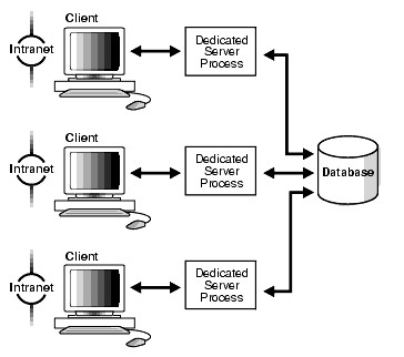Oracle Database Dedicated Server