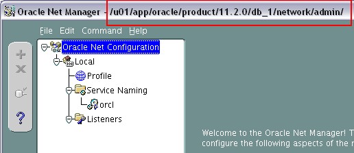 Oracle Database Net Manager