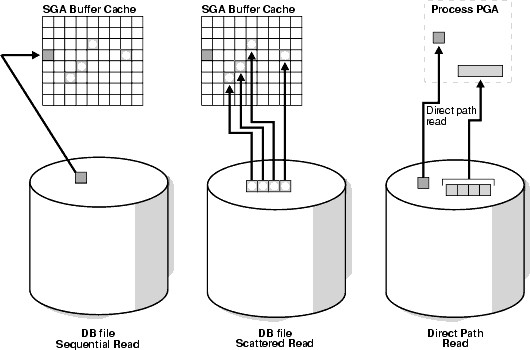 Oracle Database Scattered Sequential Direct Path Read