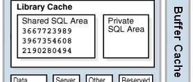 Oracle Database Sga