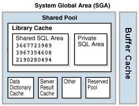 Oracle Database Sga