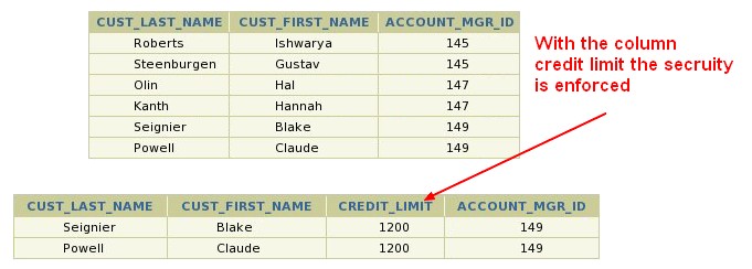 Oracle Database Vpd Column Relevance