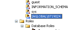 Sql Server Database Security