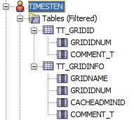 Timesten Timesten Schema