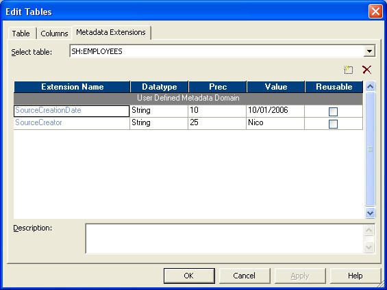 Powercenter Table Metadata Extensions