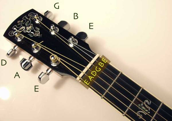 Guitare String