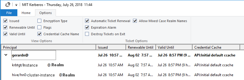 Mit Ticket Manager Showing Options
