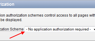 Oracle Apex Authorization Application
