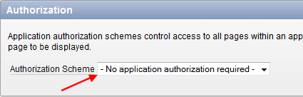 Oracle Apex Authorization Application