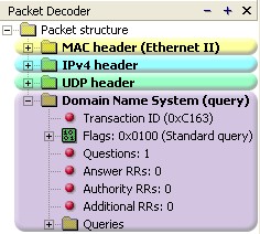 Packet Structure Dns Query