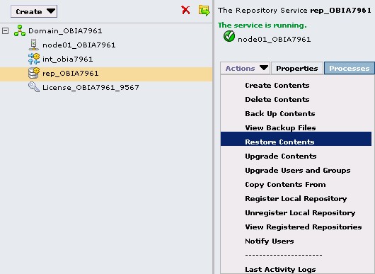 Informatica Repository Actions