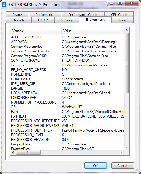 Windows Environment Parameters By Process Explorer