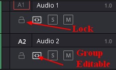 Davinci Resolve Track Button