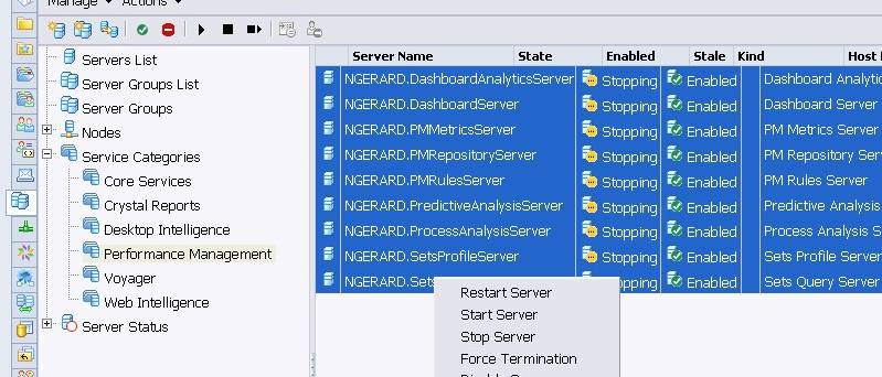 Bobj Server Service Category