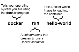 Docker Run Container Explainer