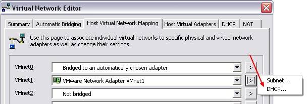 vmware_virtual_network_editor_host_virtual.jpg