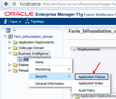 obiee_application_policies.png